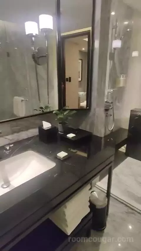 Jr Suite bathroom picture #7