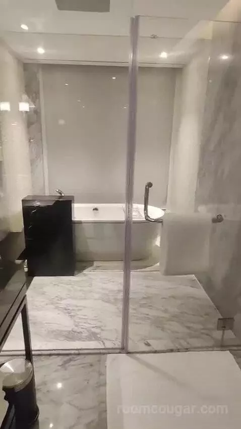 Jr Suite bathroom picture #10