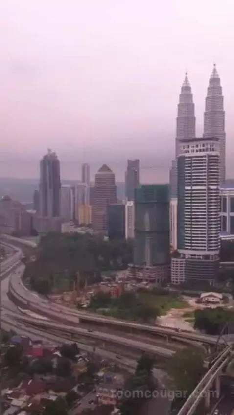 1 King Bed, City View, Club Lounge Access, Room view picture #9