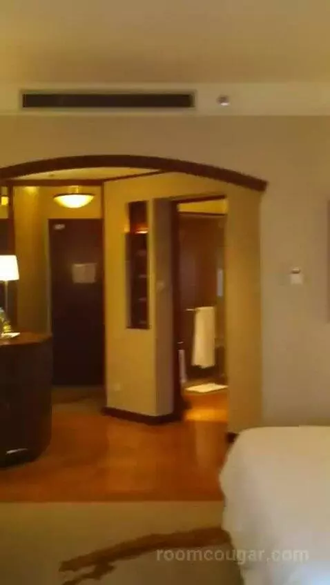 1 King Bed, City View, Club Lounge Access, Room picture #24