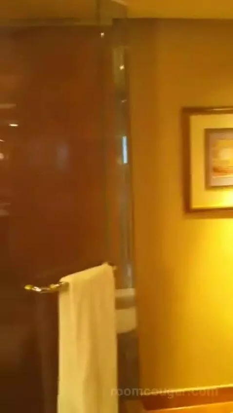 1 King Bed, City View, Club Lounge Access, Room bathroom picture #2