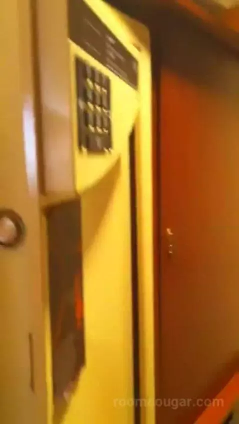 1 King Bed, City View, Club Lounge Access, Room picture #10