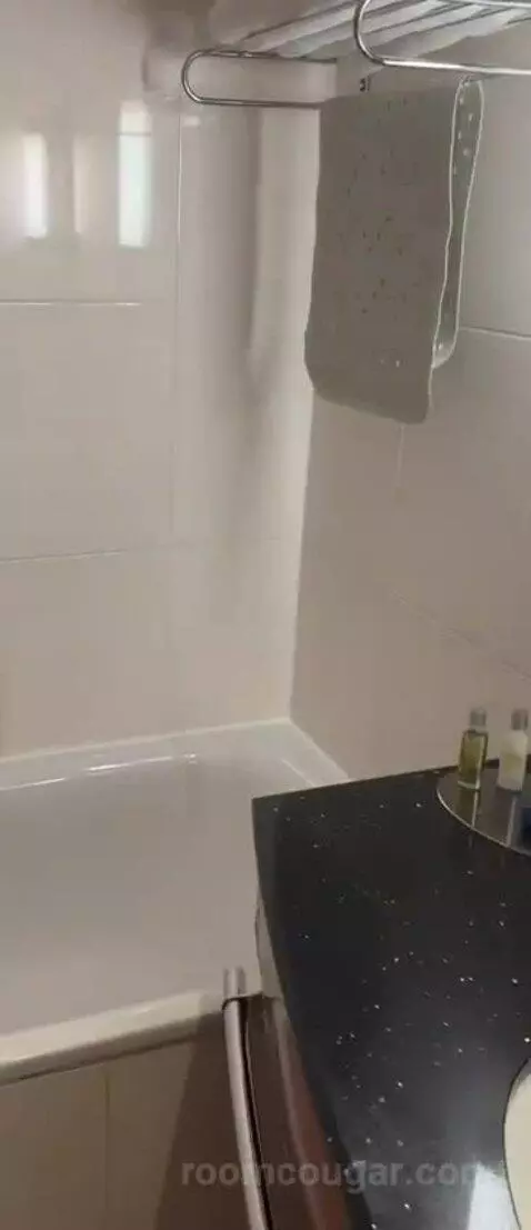 Double Room bathroom picture #2
