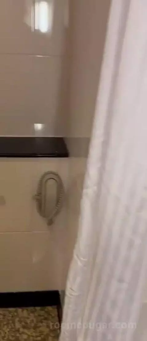 Double Room bathroom picture #4