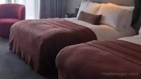 Superior Double or Twin Room bed picture #6
