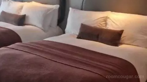 Superior Double or Twin Room bed picture #9