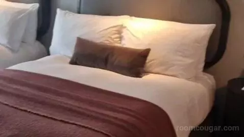 Superior Double or Twin Room bed picture #11