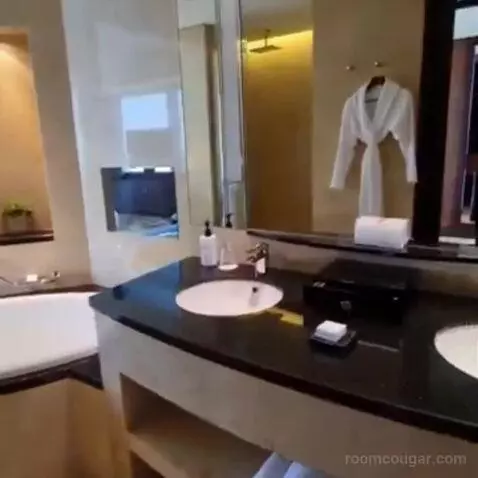 Deluxe Corner King Room with Panoramic View bathroom picture #1