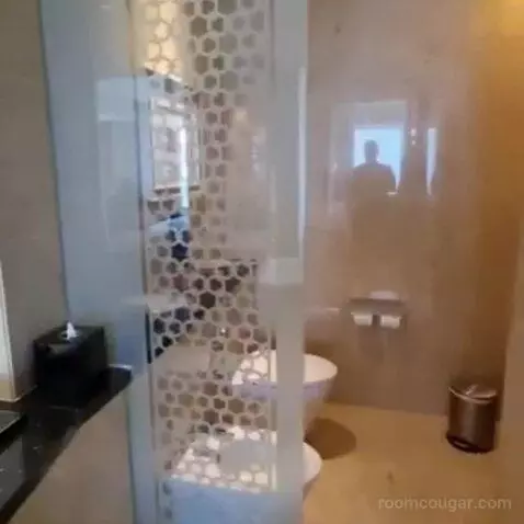 Deluxe Corner King Room with Panoramic View bathroom picture #12