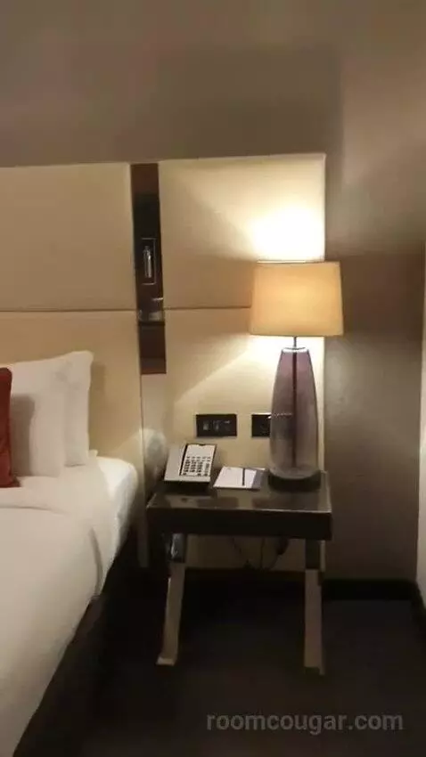 Deluxe King Room with River View - High Floor bed picture #3