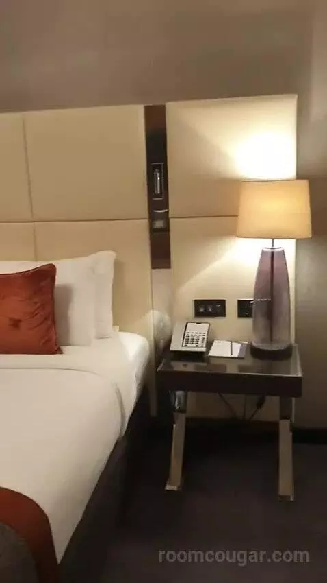 Deluxe King Room with River View - High Floor bed picture #6