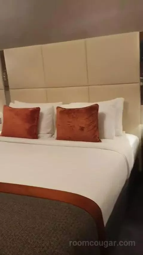 Deluxe King Room with River View - High Floor bed picture #8