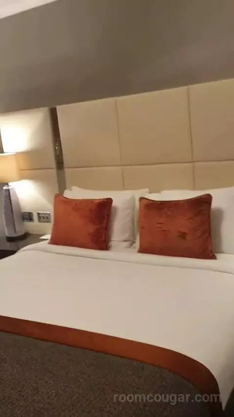 Deluxe King Room with River View - High Floor bed picture #12