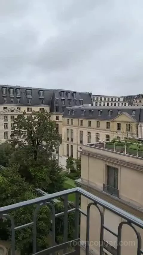 Suite view picture #7