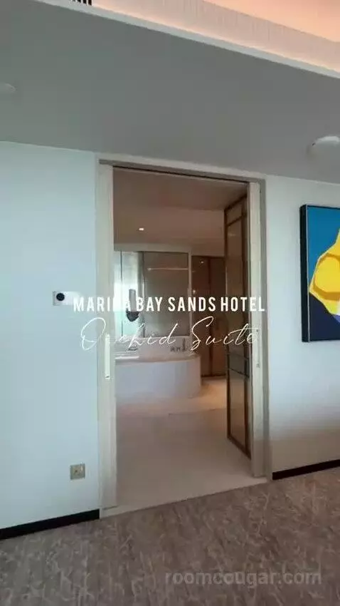 Sands Premier Double Queen City View view picture #6
