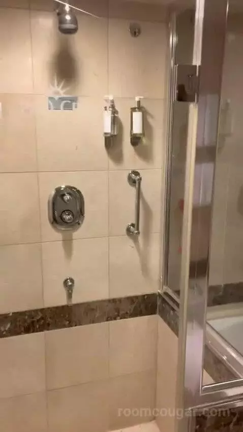 Suite bathroom picture #4