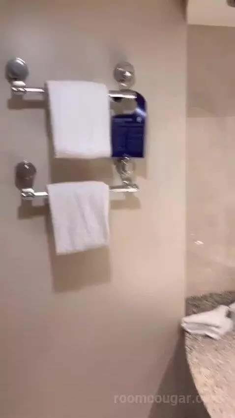 Suite bathroom picture #12