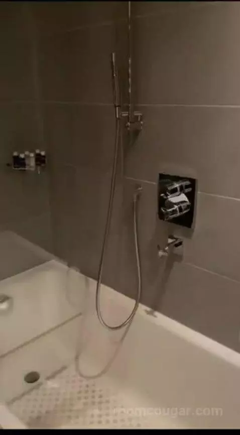 Deluxe Double Room bathroom picture #1