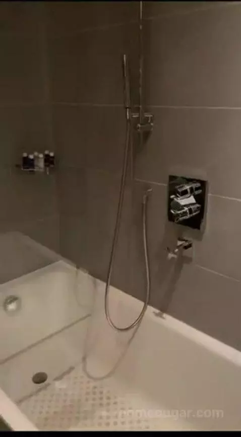 Deluxe Double Room bathroom picture #2