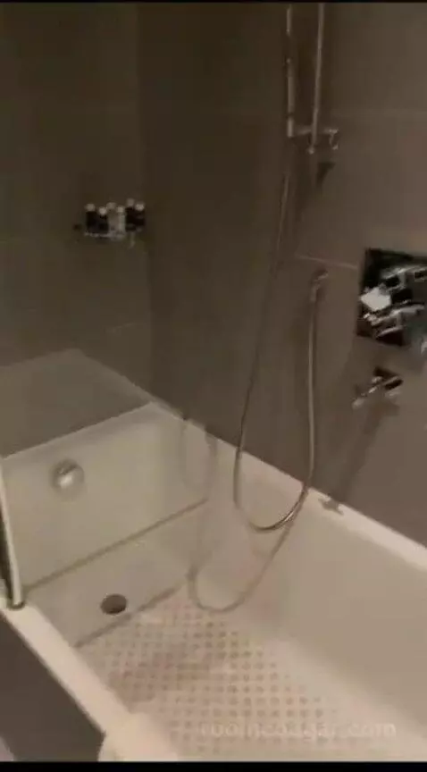 Deluxe Double Room bathroom picture #3