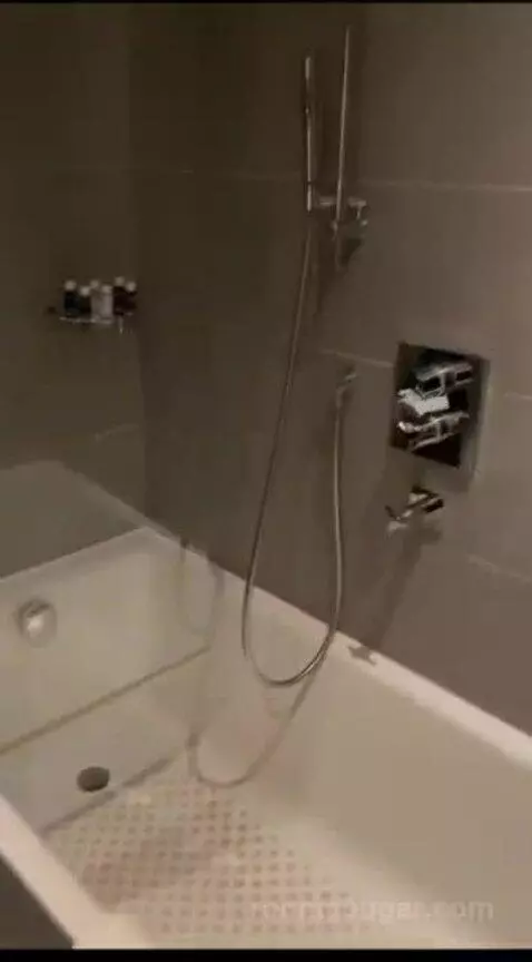 Deluxe Double Room bathroom picture #4
