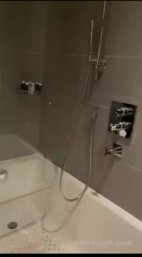 Deluxe Double Room bathroom picture #9