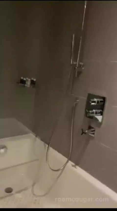Deluxe Double Room bathroom picture #10