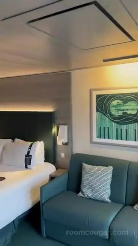 Suite (Aurea premiu) bed picture #6