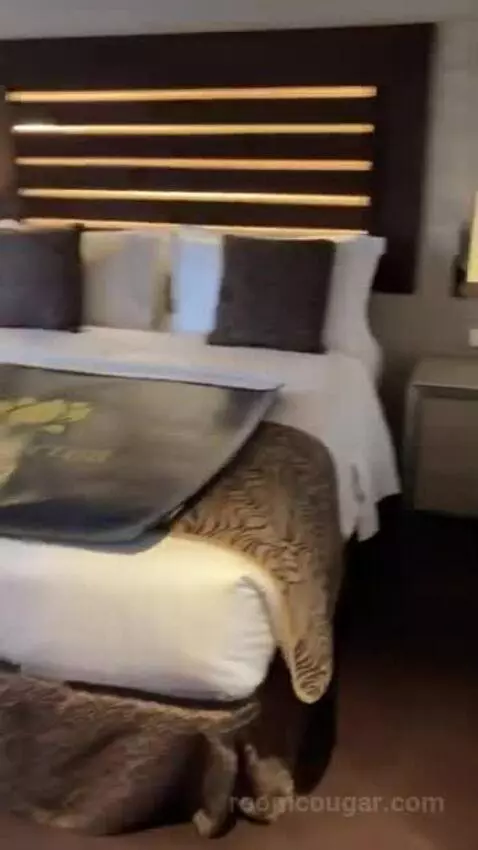 Balcony Cabin (Yacht club) bed picture #3