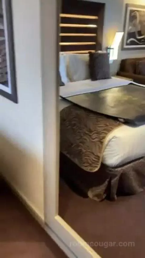 Balcony Cabin (Yacht club) bed picture #7