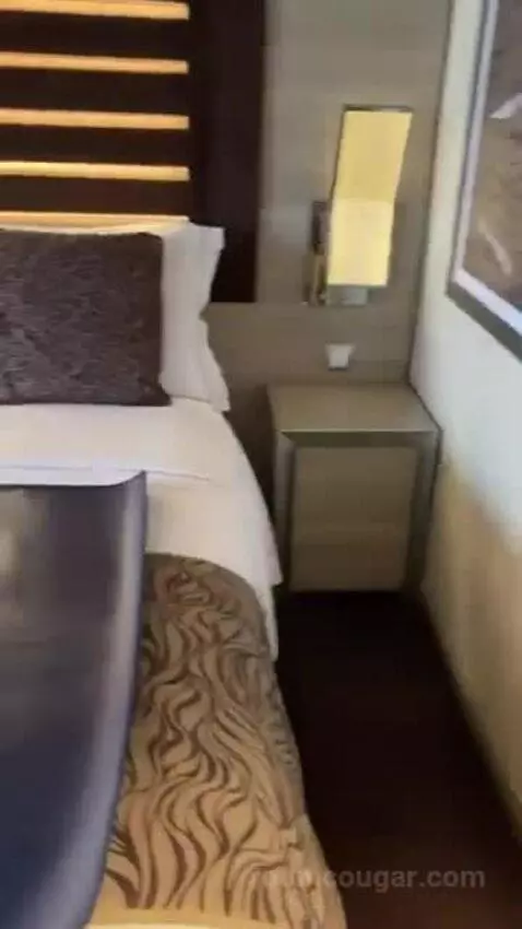 Balcony Cabin (Yacht club) bed picture #9