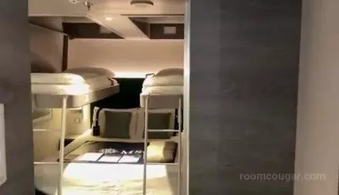 Inside Cabin bed picture #1
