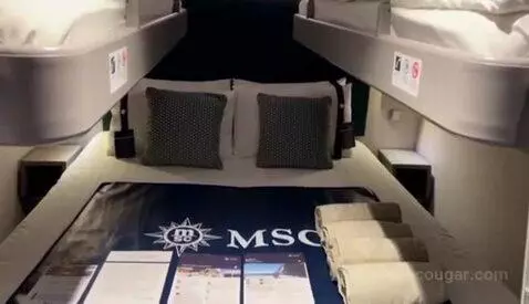 Inside Cabin bed picture #6