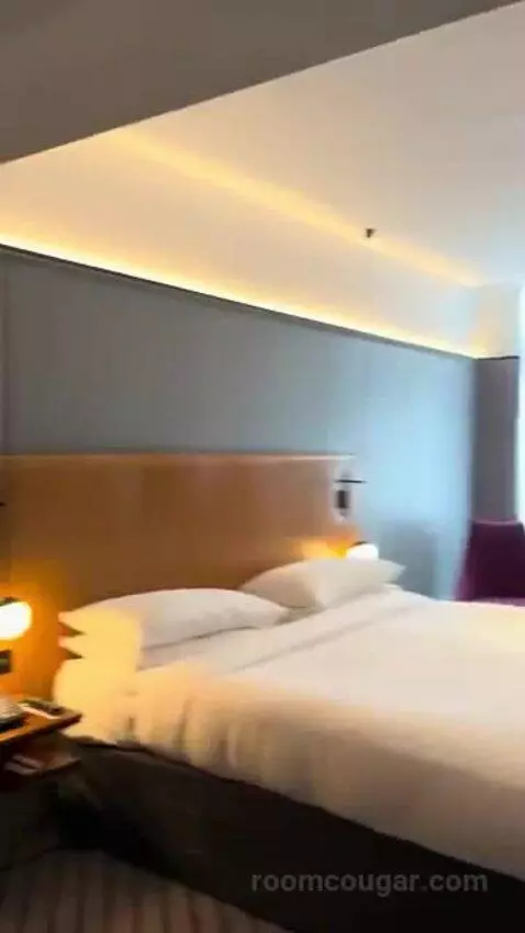 Deluxe King Room bed picture #3