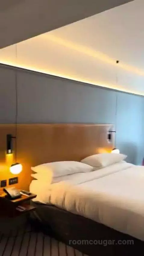 Deluxe King Room bed picture #4