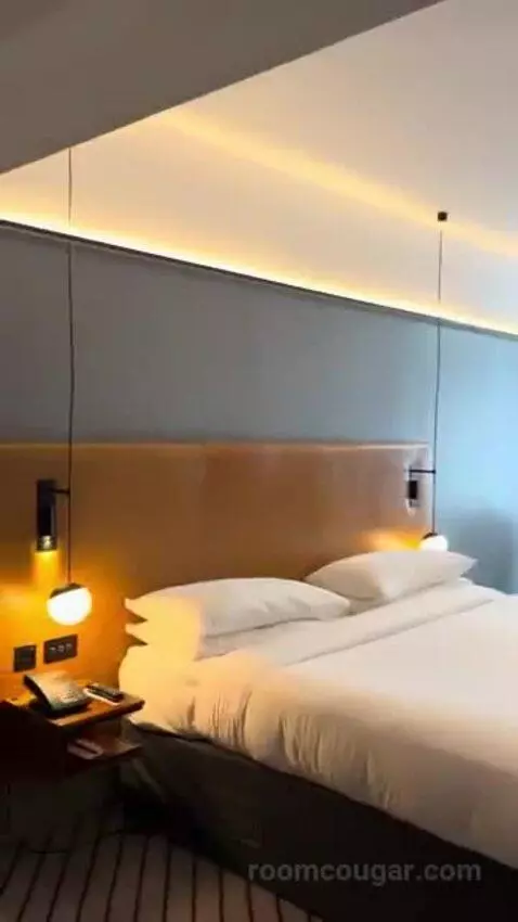 Deluxe King Room bed picture #5