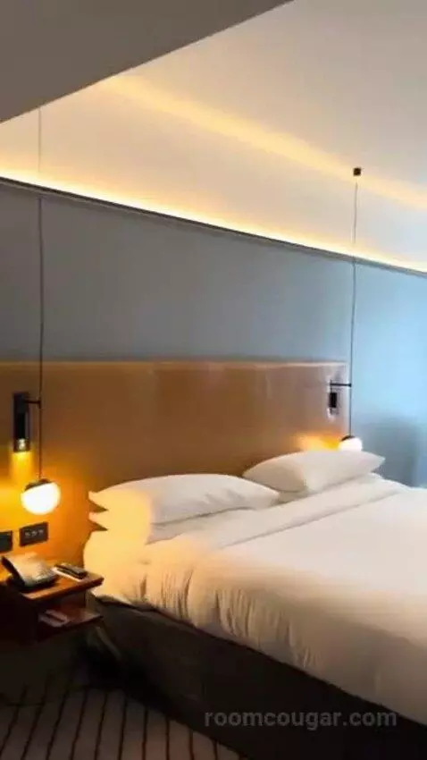 Deluxe King Room bed picture #6
