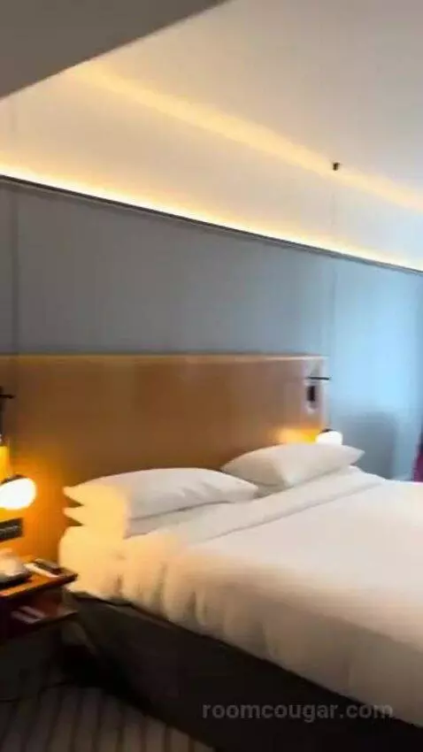 Deluxe King Room bed picture #7