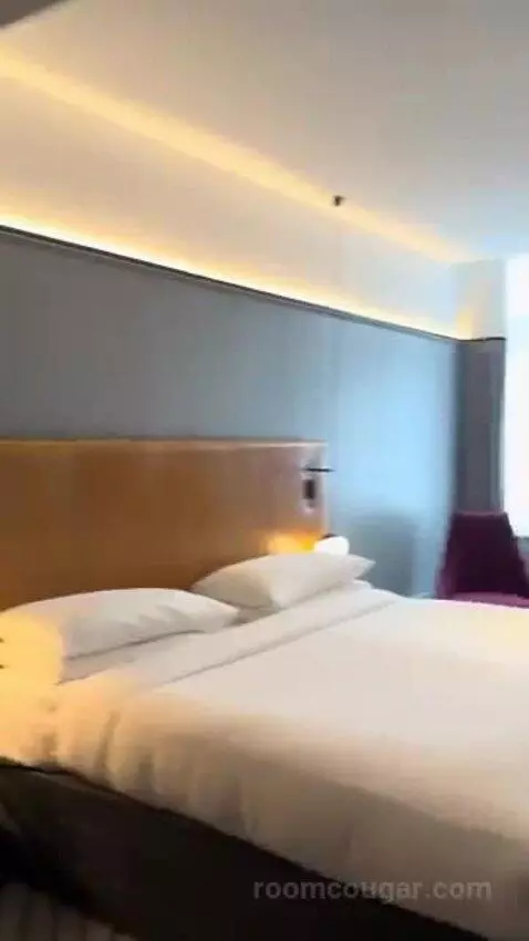 Deluxe King Room bed picture #8