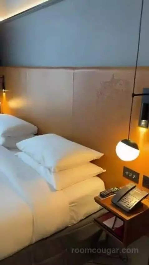 King Room bed picture #3