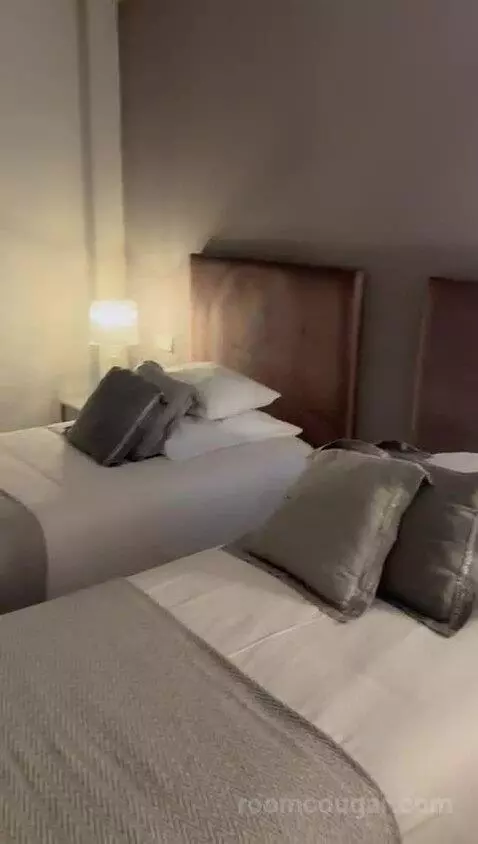 Deluxe Double Room bed picture #4