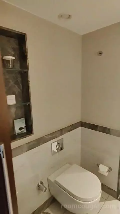 Deluxe King Room bathroom picture #1
