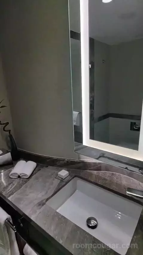 Deluxe King Room bathroom picture #10