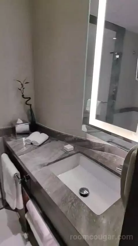 Deluxe King Room bathroom picture #11
