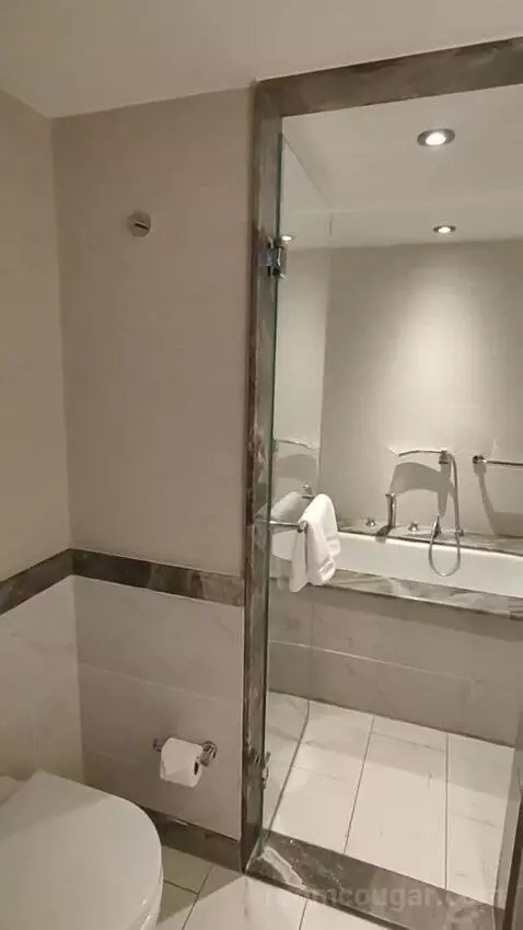 Deluxe King Room bathroom picture #2