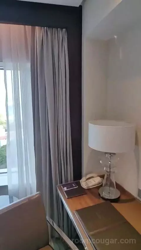 Deluxe King Room picture #21