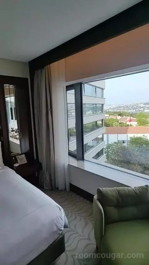 Deluxe King Room bed picture #2