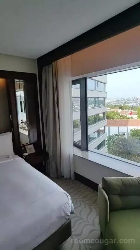 Deluxe King Room bed picture #3