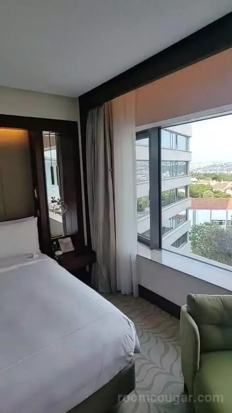 Deluxe King Room bed picture #4