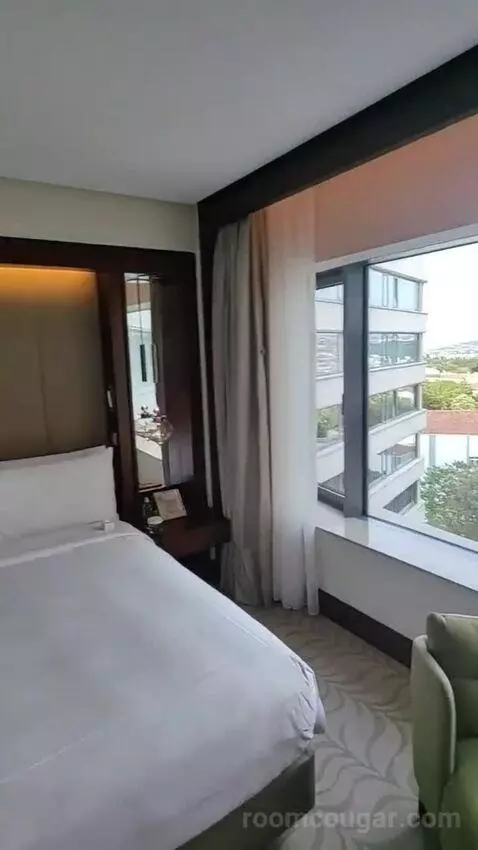 Deluxe King Room bed picture #5